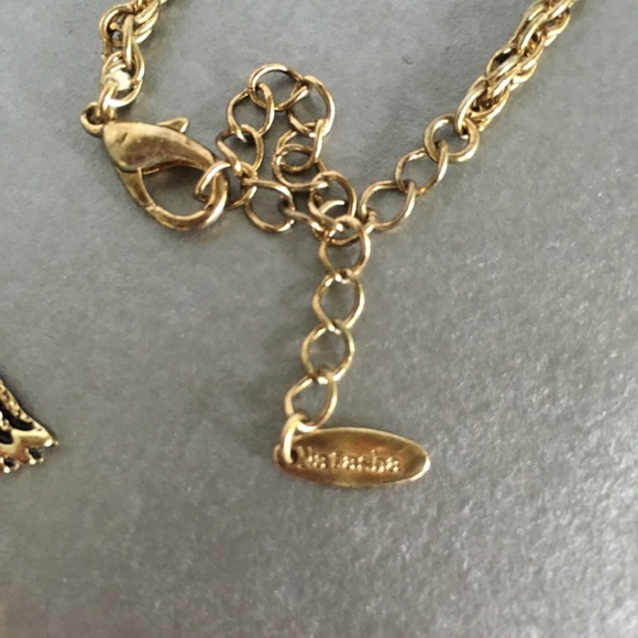 The tortoise wins this race! - Picture 4 of 4